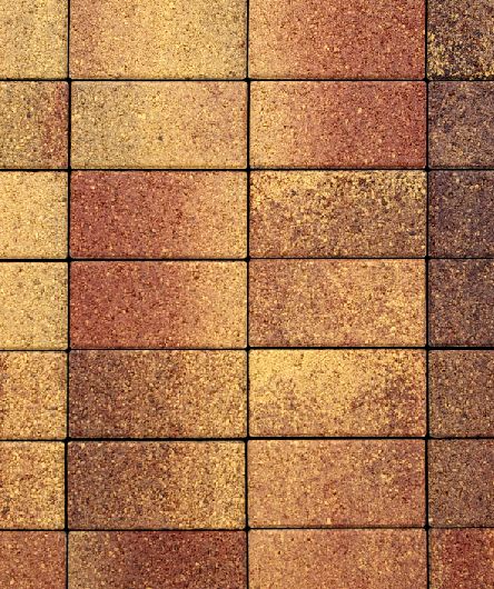 Тротуарная плитка Прямоугольник, Гранит Листопад, Осень, (форма Прямоугольник), 40 мм